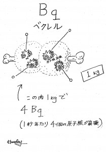 ベクレルとは Bqは、「放射能」の強さを示す単位。 １秒間に崩壊する原子核の個数。 対して、日本で有名なSvは、生体の被ばくでの生物学的影響の程度を示します。